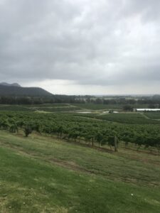 Hunter Valley concert