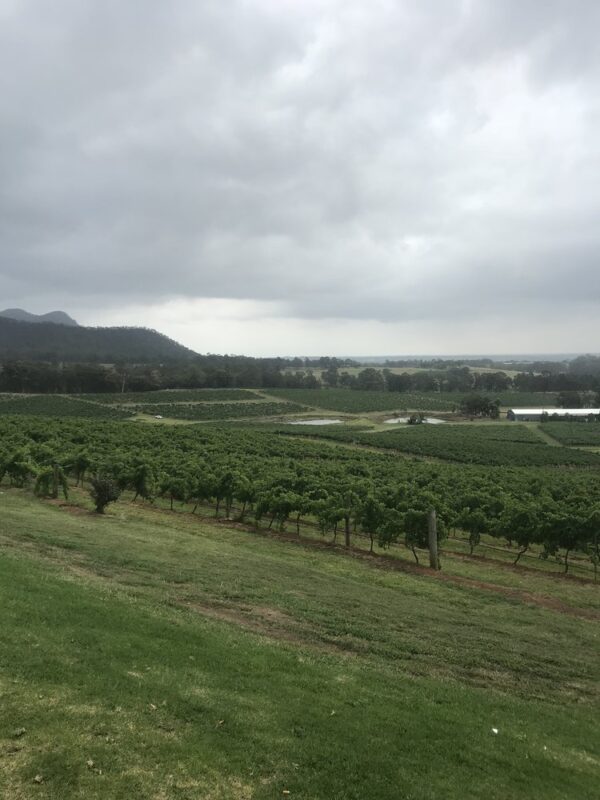 Hunter Valley concert