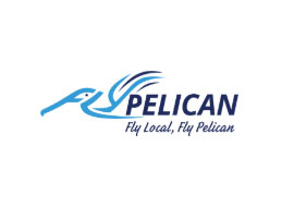 Fly Pelican